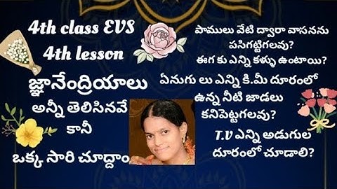 AP TET/ DSC/4th class EVS /4th lesson / Total information/ @tarakvahinitetdsc8110