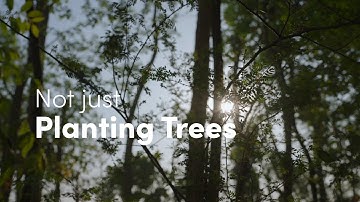 Sustainable Tree Plantation | Greener Punjab | The Billion Tree Project | @roundglassfoundation