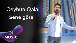 Ceyhun Qala - Sənə görə