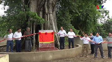 Lễ công bố quyết định cây di sản Việt Nam Huyện Mường La
