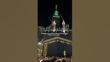 #ايات من سورة الزمر #ayah from surah az zumar #المصحف #راحة_نفسية #ayah #ايات