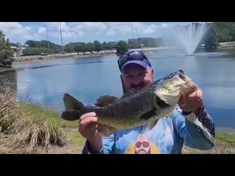 Bass Fishing in Florida!! Summer Fishing