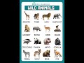 Wild Animals Name English Vocabulary Wild Education Shortsfeed Rmlearning