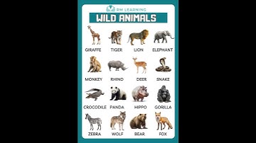 Wild Animals Name English Vocabulary #wild #education #shortsfeed #rmlearning