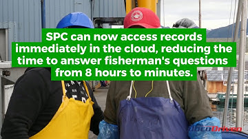 Seafood Producers with DocuDriven and Digitech Systems