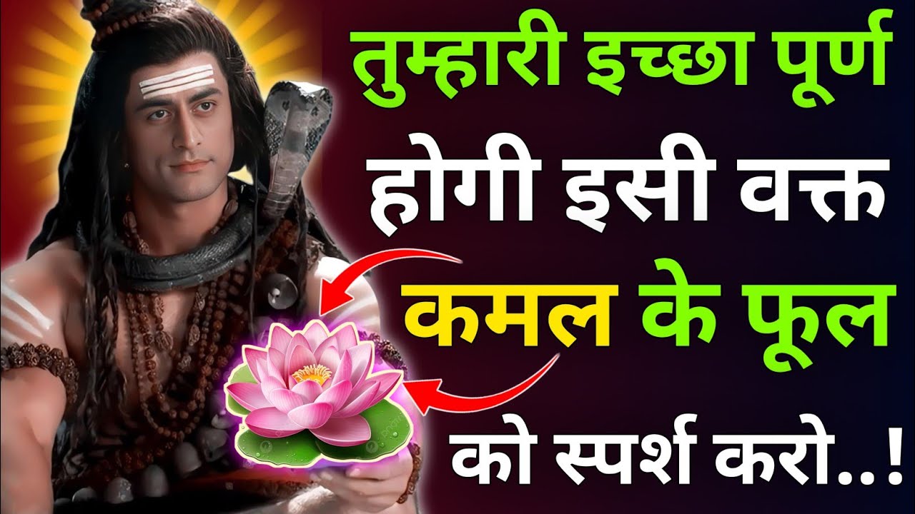 तुम्हारी इच्छा 🍃 पूर्ण होगी इसी वक्त कमल 🌷 के फूल को स्पर्श करो |Mhadev Updesh |Mhadev Vani 