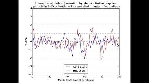 Path Optimisation by Metropolis Hastings algorithm