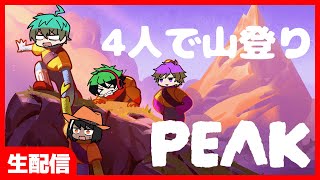 【生配信】4人で協力山登り【PEAK】