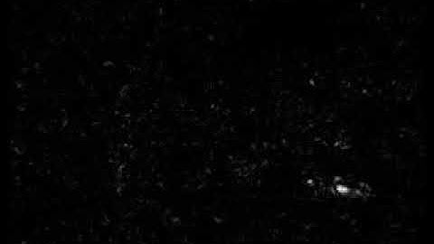 The forward backward optical flow projected motion clustering