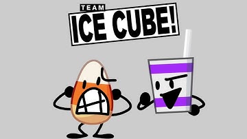 If VOO (Village of Objects)(Only Contestants with Debuter) were on Bfb teams