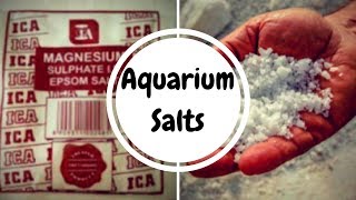 Types Of Salts Aquarium Salt Vs Epsom Salt