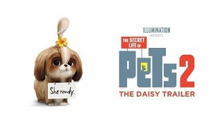 The Secret Life Of Pets 2 The Daisy Trailer