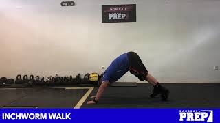 Movement Prep Day 2
