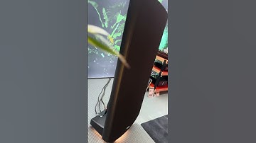 New QUAD ESL 2912X electrostatic loudspeakers #highendaudio #hifi #loudspeaker