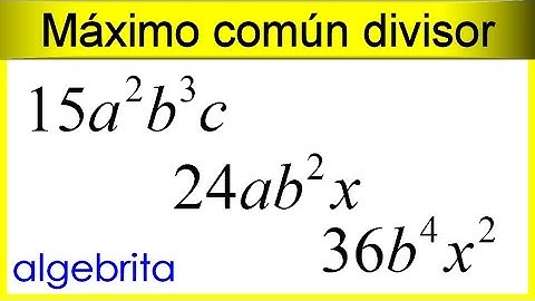 Máximo común divisor de monomios 384