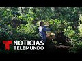 No hay tregua ante la crisis del café en El Salvador | Noticias Telemundo