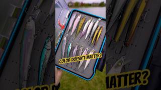 Does Lure Color Actually Matter?