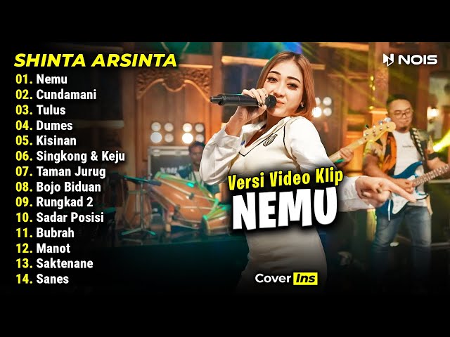 Shinta Arsinta - Nemu, Cundamani, Tulus | Full Album Terbaru 2024 class=