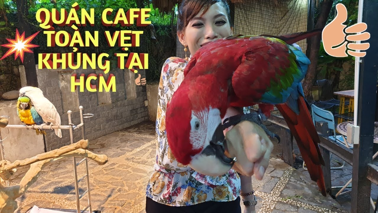 cafe pet tphcm New SÀI GÒN | CÀ PHÊ PET ME | QUÁN CÀ PHÊ TOÀN VẸT KHỦNG NHƯ KHU RỪNG AMAZON GIỮA LÒNG TP HCM.