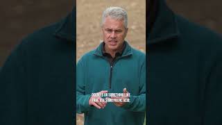 Here are some tips to make your fungicide work better.