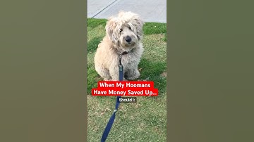 Als mijn mensen geld hebben gespaard 🐶 @TheJessiiShow #TheManniiShow.com/series