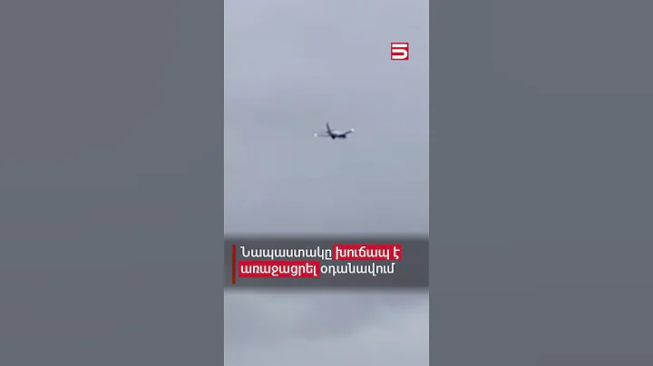 Նապաստակը խուճապ է առաջացրել օդանավում #օդանավ #5tv