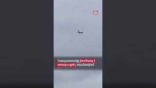Thumbnail for Նապաստակը խուճապ է առաջացրել օդանավում #օդանավ #5tv