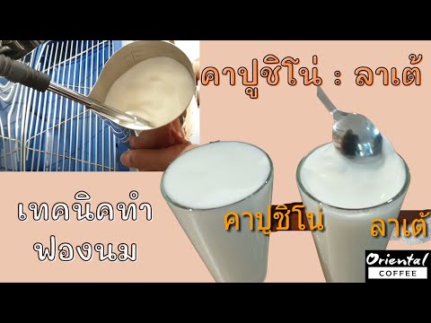 เทคนิคทำฟองนมแบบง่ายๆ ข้อแตกต่างการทำฟองนม ลาเต้ กับ คาปูชิโน่
