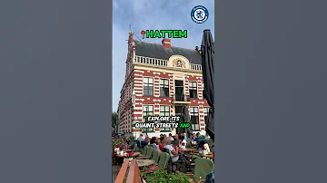 Hattem #shorts #netherlands #travel