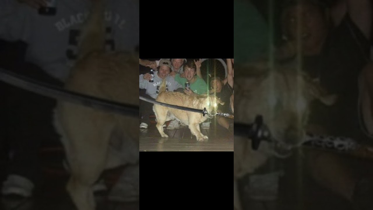 Lower my shades tama gucci 20minutes (slowed)