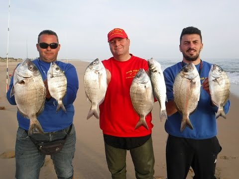 PESCA SURFCASTING CONSEJOS