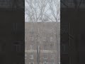Предоставить защиту Богу - это дело христианское #люди #судьба #жизнь #религия #вера  #душа #ислам