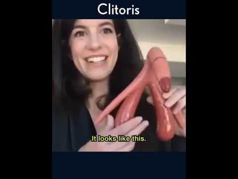 Clitoris