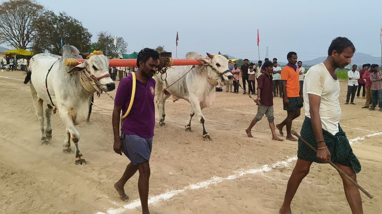 చెన్నారం సీనియర్స్ విభాగం 8వ జత.పర్వతరెడ్డి శ్రీవర్ధన్ రెడ్డి గారు.