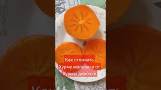 Хурма как отличить мальчика от девочки. #хурма #королёк #фрукты #еда #тикток #приколы #юмор #тренды