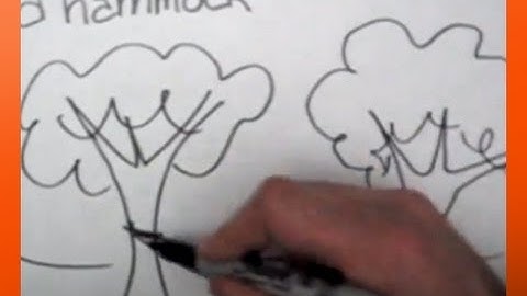 How to Draw a Hammock | Drawing Ideas