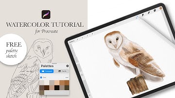 Procreate Watercolor Owl Tutorial - Step by step - Drawing tutorial by OwlAsya