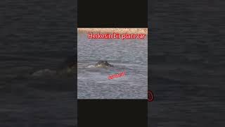 Herkesin Bir Planı Vardır