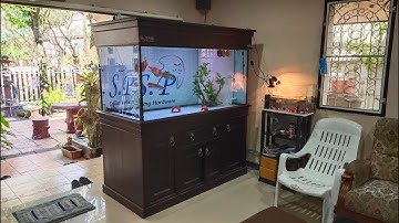 James เอกชัย 83 - งาน Overflow Full Services ตู้เฟอร์ 60 (เปลี่ยนกรองมุมเป็นกรองล่าง) จบมีปลา Set 1