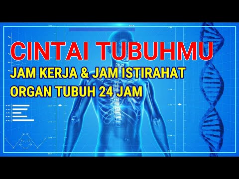 JAM KERJA ORGAN TUBUH MANUSIA DALAM 24 JAM | TUBUH PERLU ISTIRAHAT | TIPS SEHAT DAN PANJANG UMUR