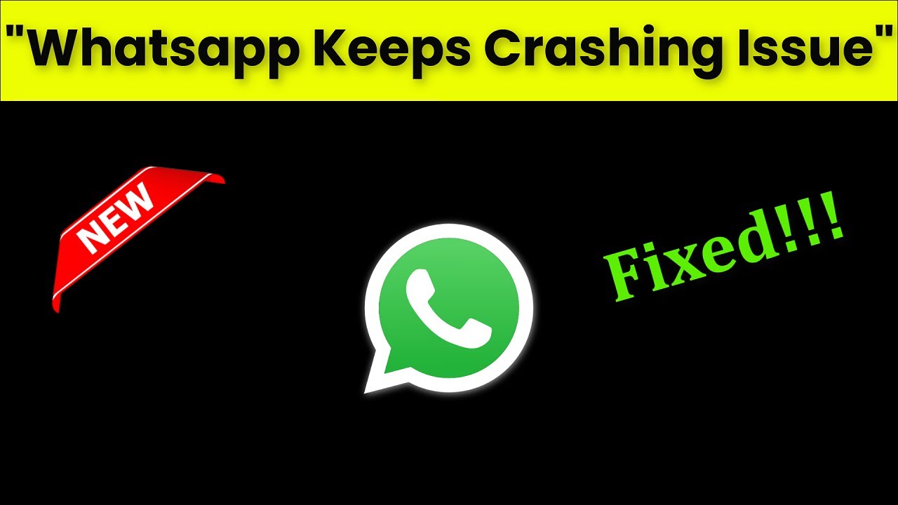 How To Fix Whatsapp Keeps Crashing Issue Android & Ios - 2022 - YouTube