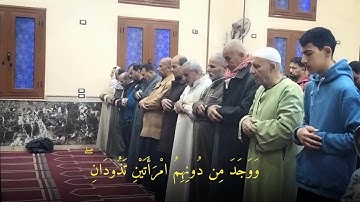 تلاوة خاشعة مؤثرة | بصوت الشيخ ابراهيم صالح ماتيسر من سورة القصص رمضان 1446ه‍ـ