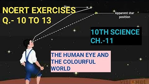 10th Science, Ch-11||Ncert Exercises, Q- 10 to 13||Part-3||Study with Farru
