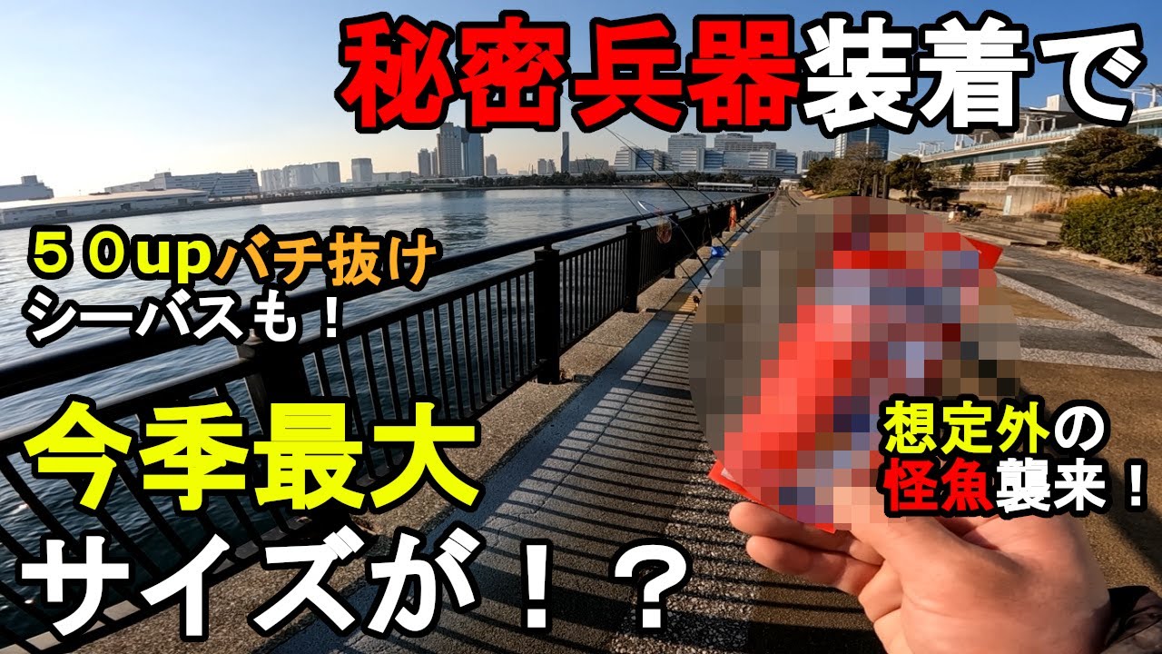 【東京都某所】秘密兵器装着で今季最大サイズが！？真冬の厳寒期の時期に、関東地方の都内にある東京湾に面している釣り場で、釣れると噂のとある釣り道具を仕掛けにつけて釣りしてみたら…！【2024年1月下旬】