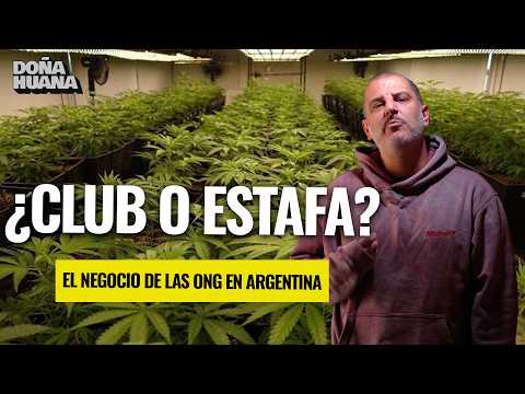 DISCOVER THE BUSINESS BEHIND NGOS IN ARGENTINA