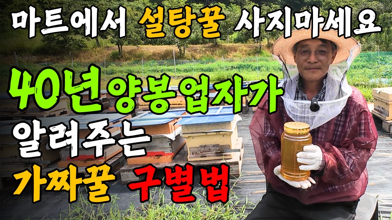비싸게 가짜꿀 사지 마세요. 진짜 좋은 꿀 고르는 방법 정직하게 다 알려 드립니다