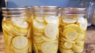 Canning Squash For Frying/Alabama Prepper