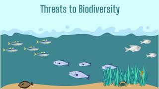 2022 National Estuaries Week Water Quality in the Coastal Bays