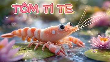 Con Tôm - Nhạc Thiếu Nhi Con Tôm - Nhạc Thiếu Nhi Vui Nhộn - Nhạc Thiếu Nhi Remix