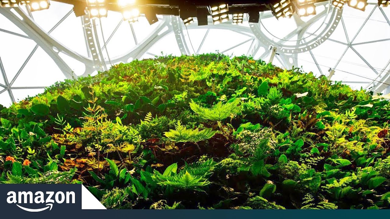 Amazon Spheres' Living Wall Amazon News YouTube